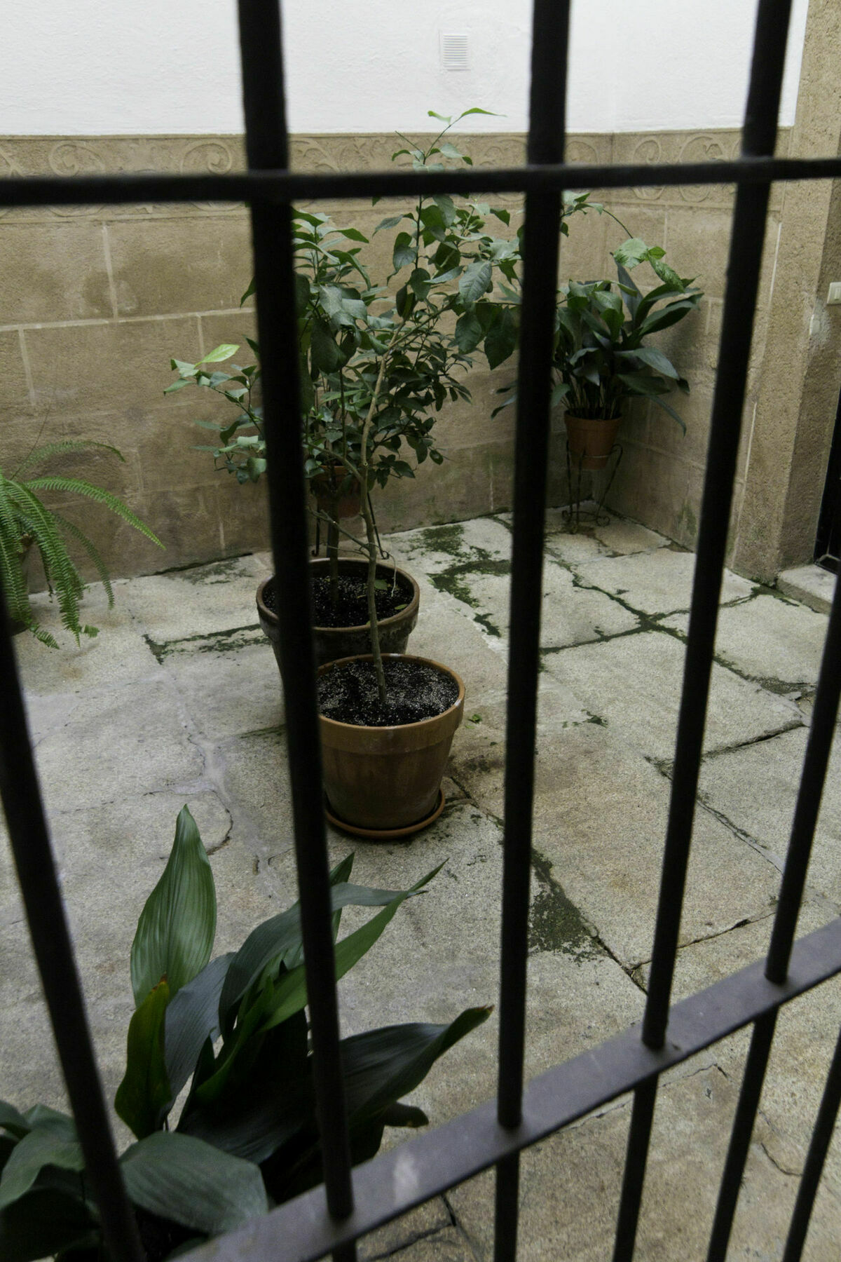 Casa Conde De Santa Olalla Cáceres Exterior photo